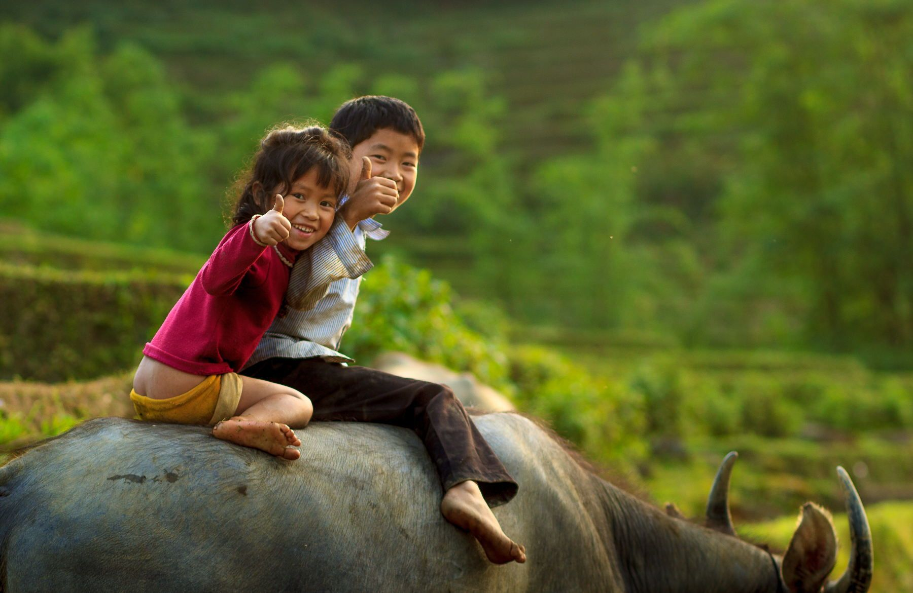“Gửi quà góp Tết”  tới 1,2 triệu đồng bào khó khăn